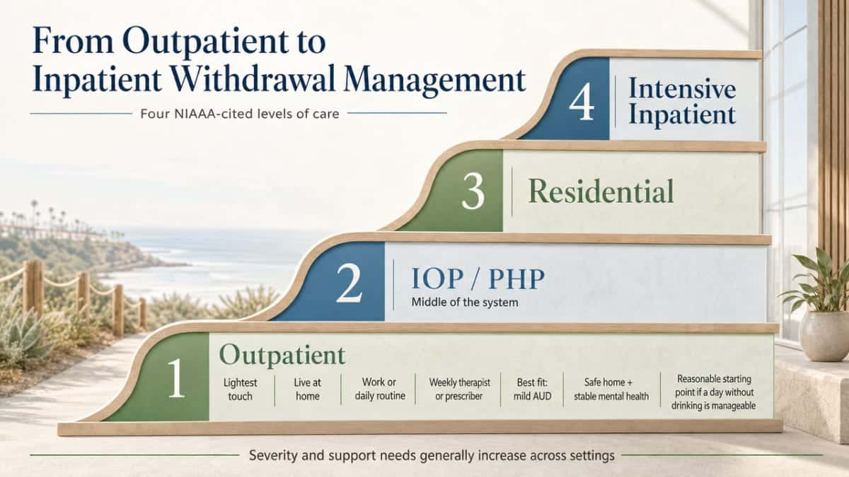 Visualize the four NIAAA-cited levels of care described in this section as a clear ladder/continuum, helping readers match severity to setting