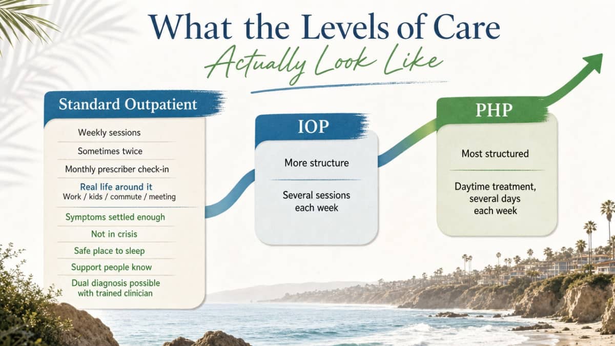 Process infographic visualizing the three levels of care (Standard Outpatient, IOP, PHP) described in this section, showing intensity progression and structure